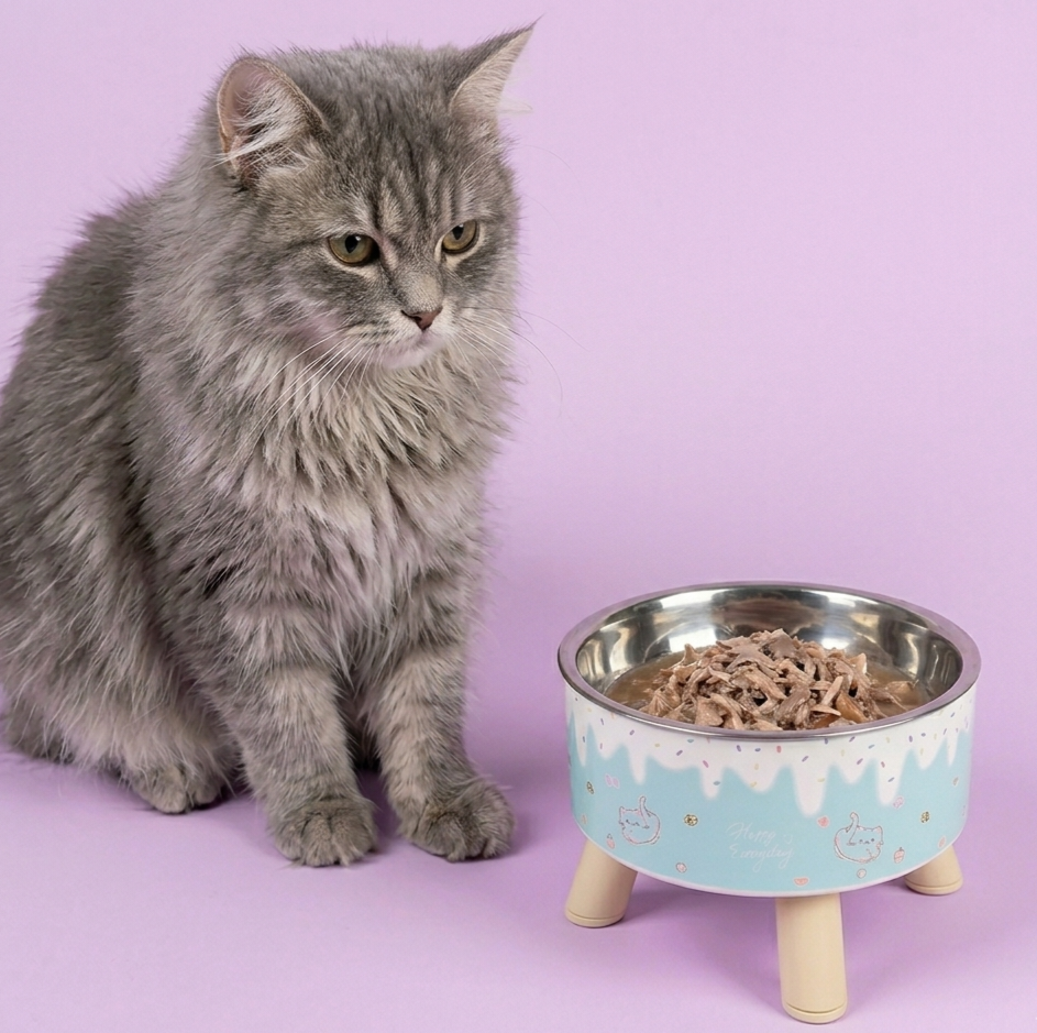 Raised Cat Bowl with Removable Stainless Steel Insert