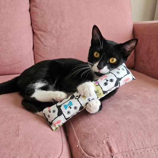 Catnip Kicker Toy