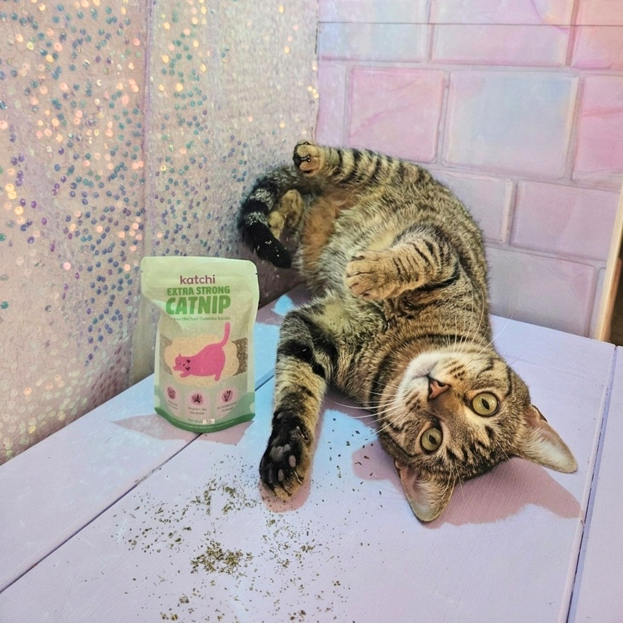 Extra Strong Fine Cut Catnip, 25g